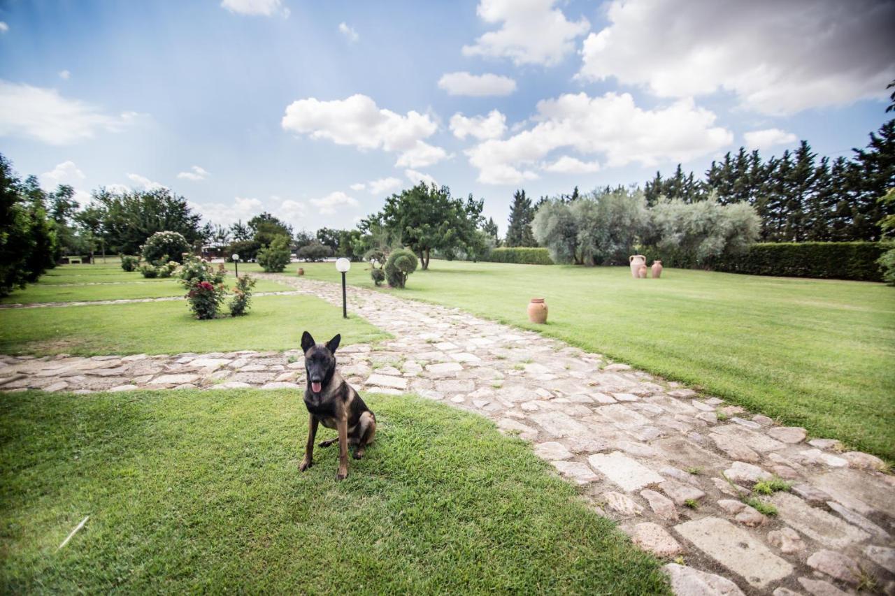 Agriturismo Le Giare Bagno Roselle Extérieur photo